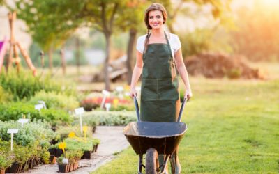 5 Home Maintenance Tasks You Should Tackle in Spring