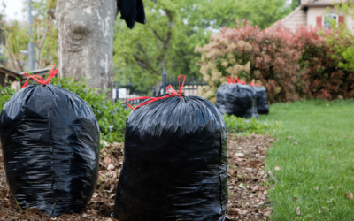 Getting Your Yard Spring Ready