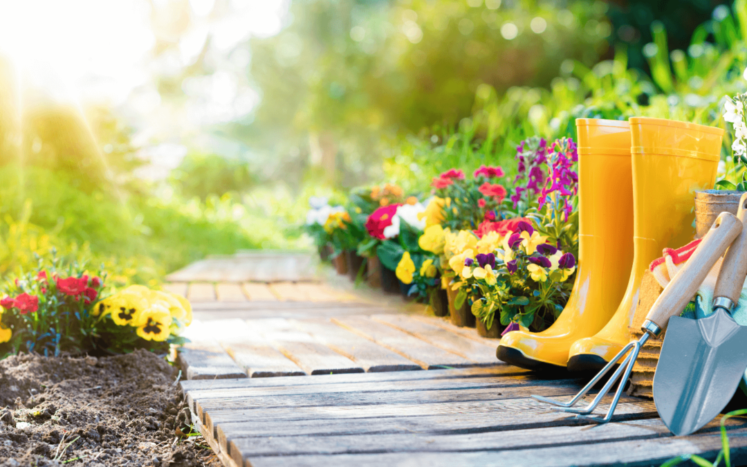 Your Gardening To-Do List