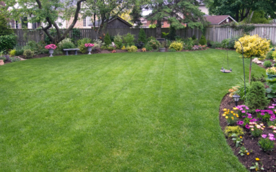 Backyard Renovation Ideas