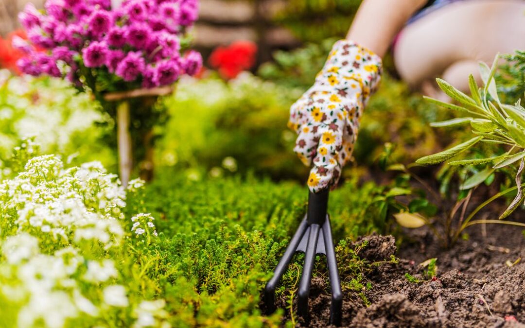 Your 2023 Gardening To-Do List